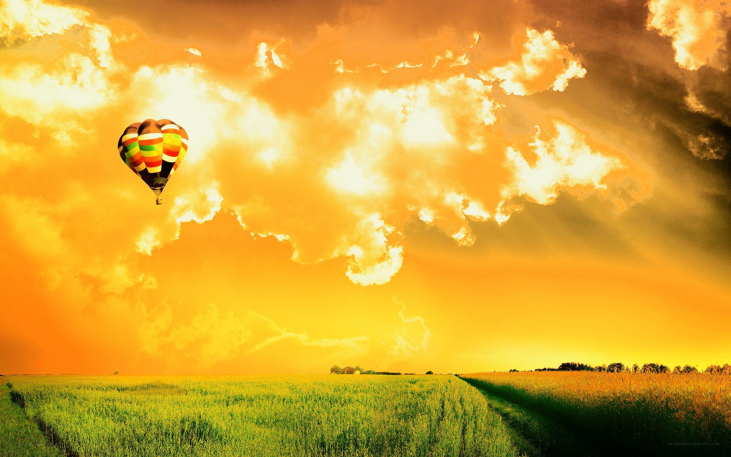 Hot air balloon over golden field