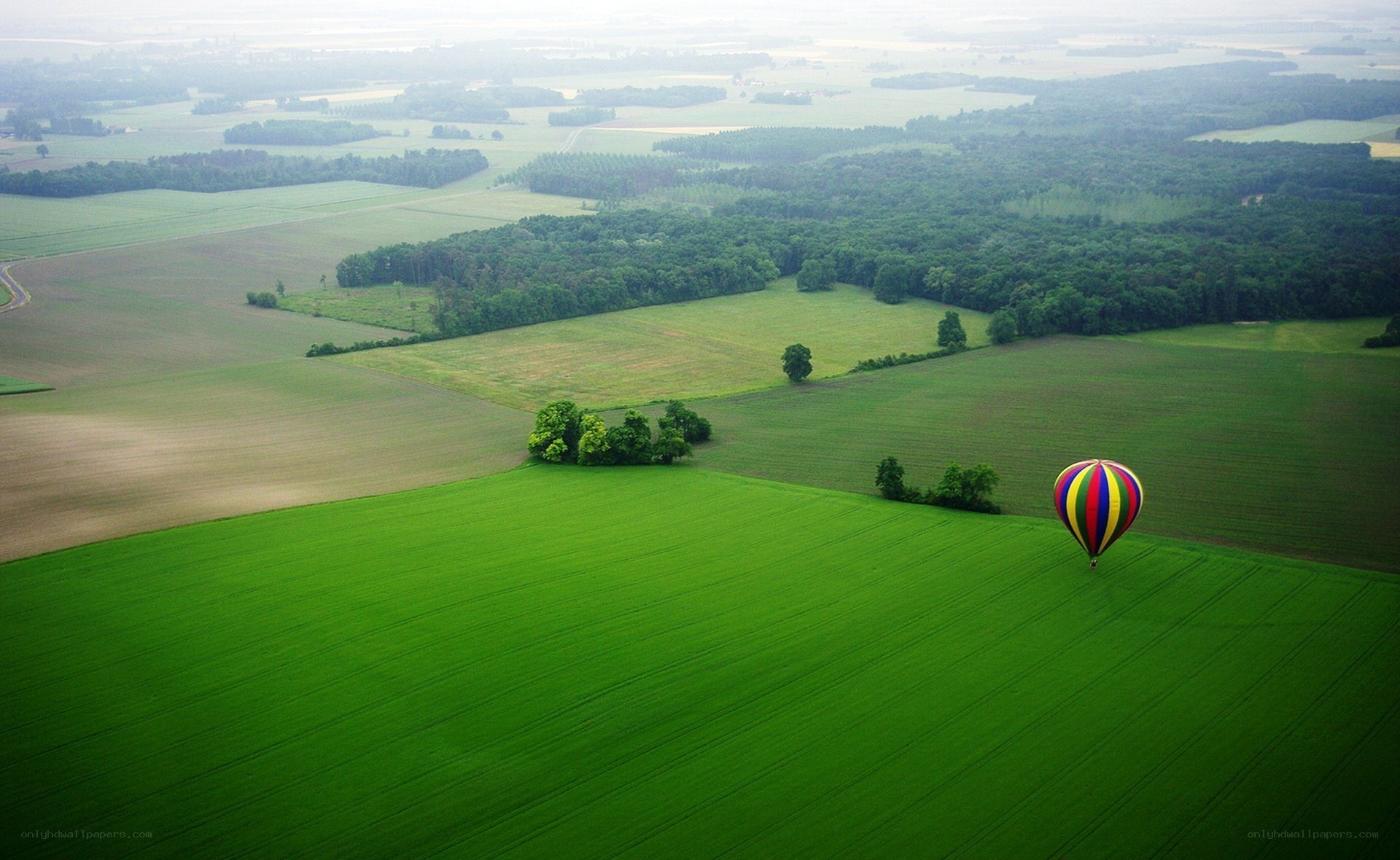 Hot air balloon over green fields