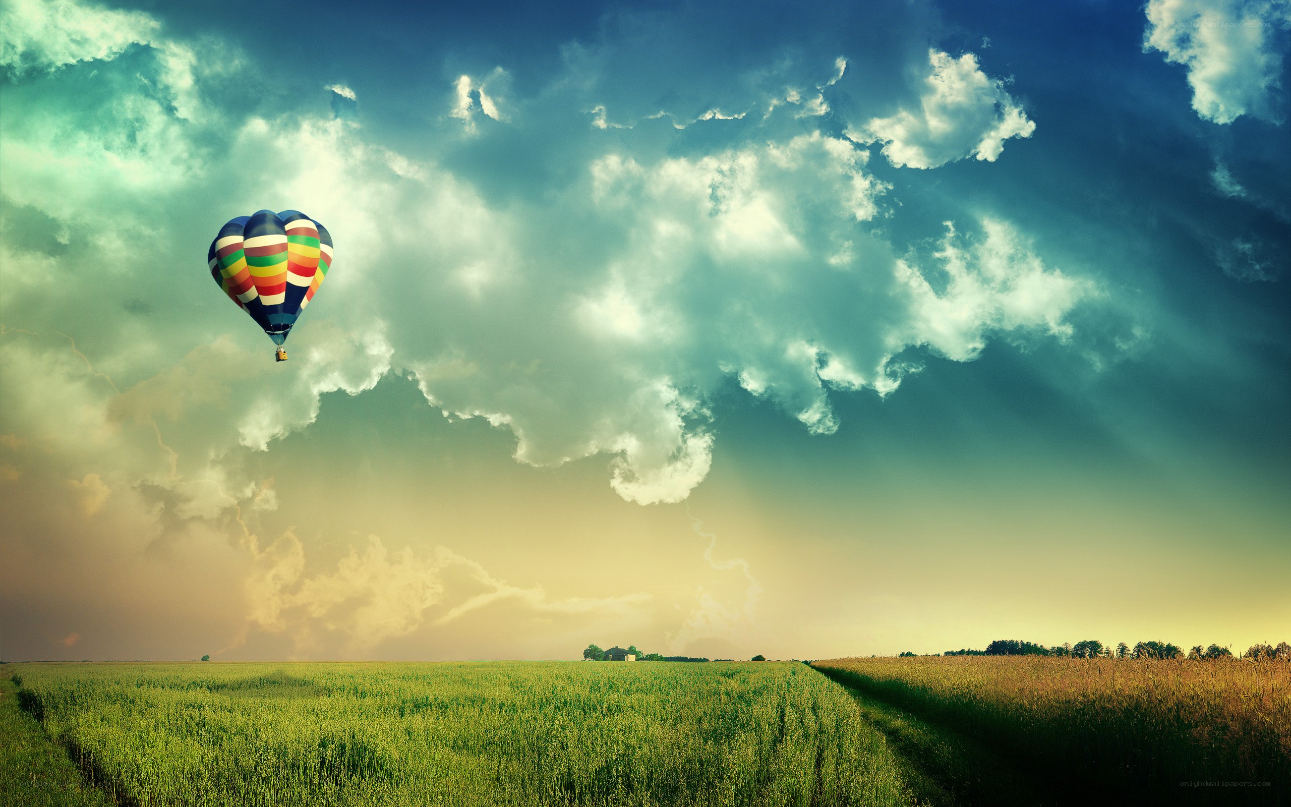 Hot air balloon over green fields