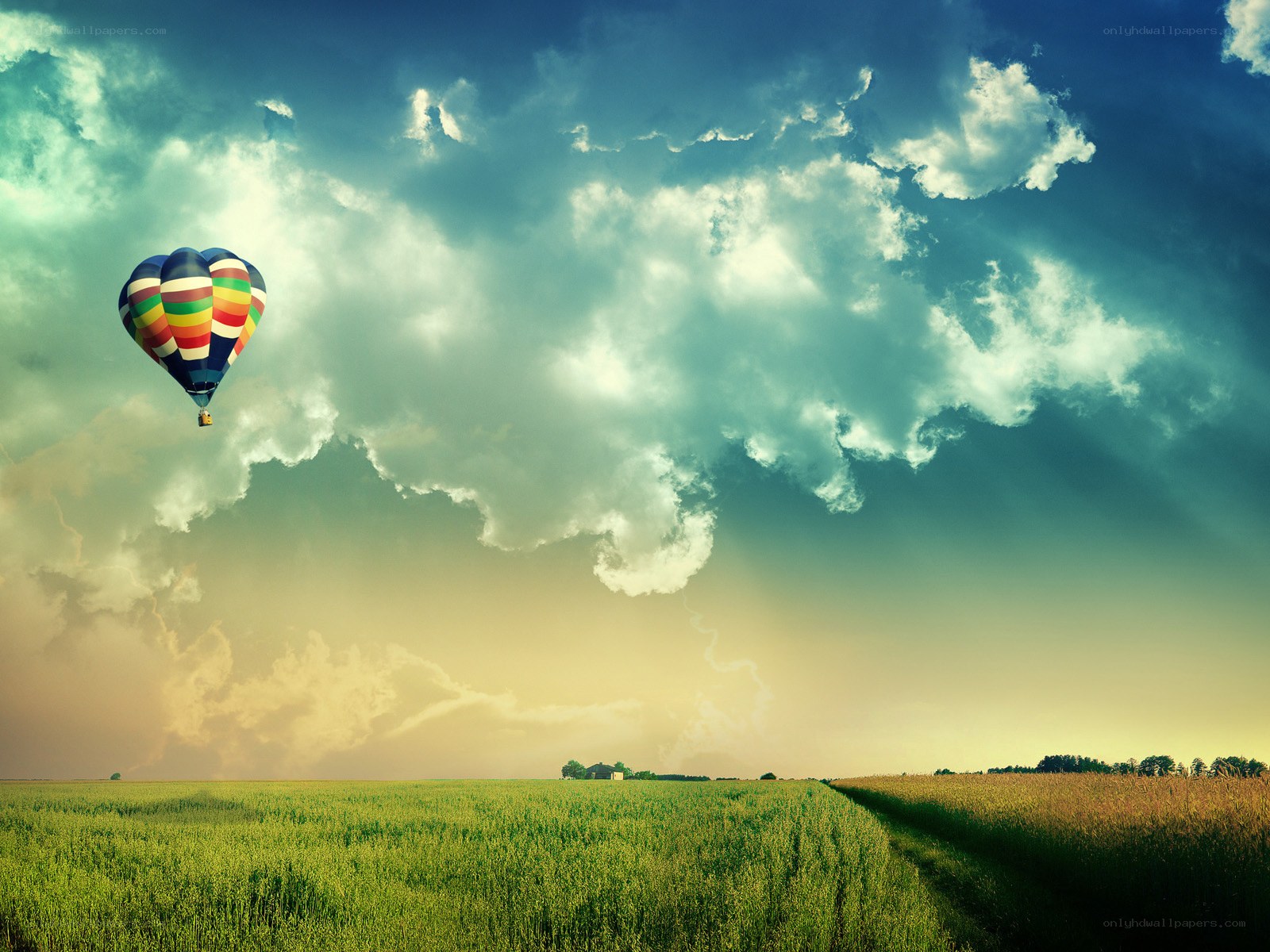 Hot air balloon over green fields