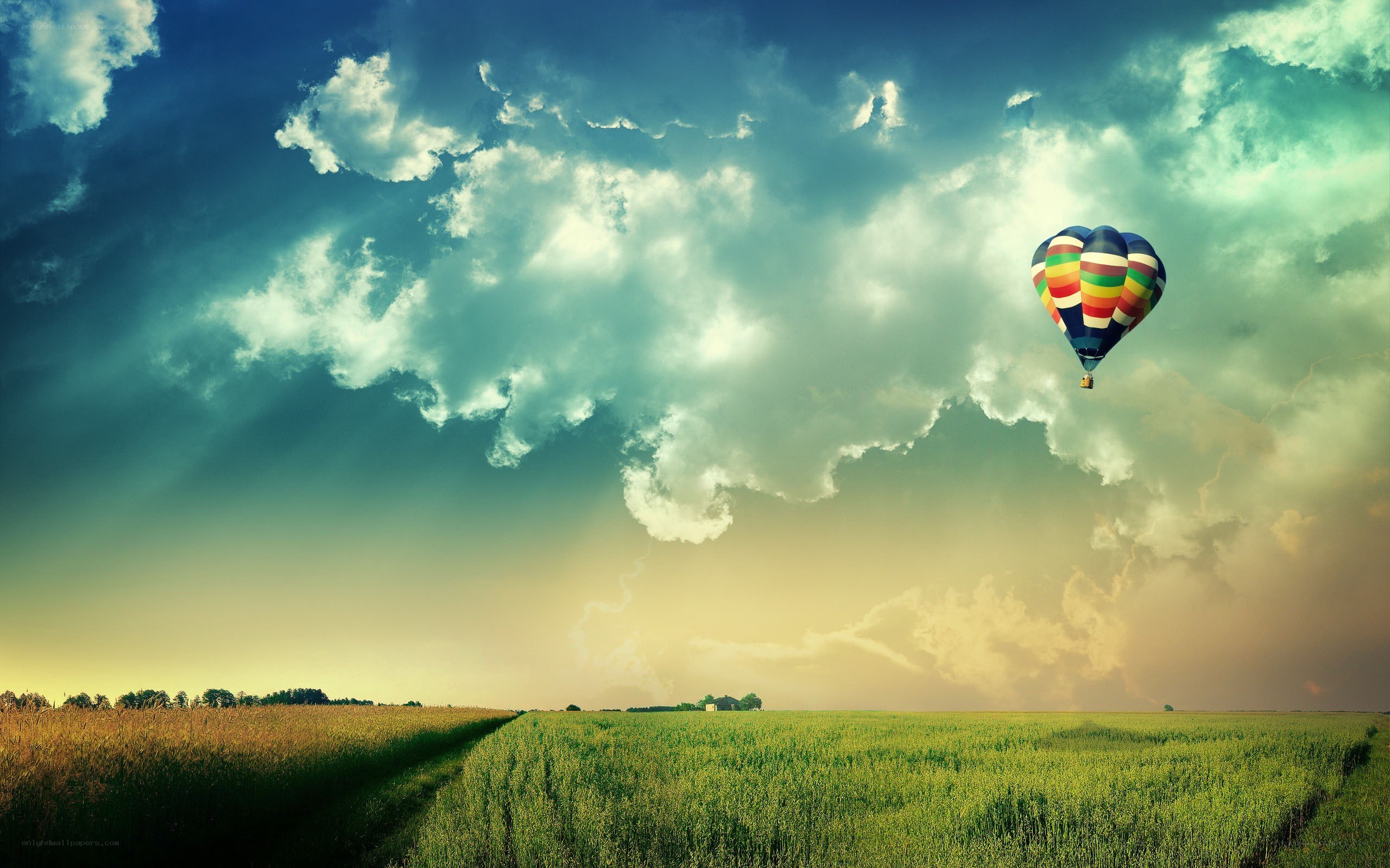 Hot air balloon over green fields