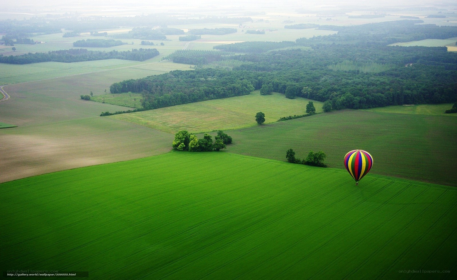Hot air balloon over green fields