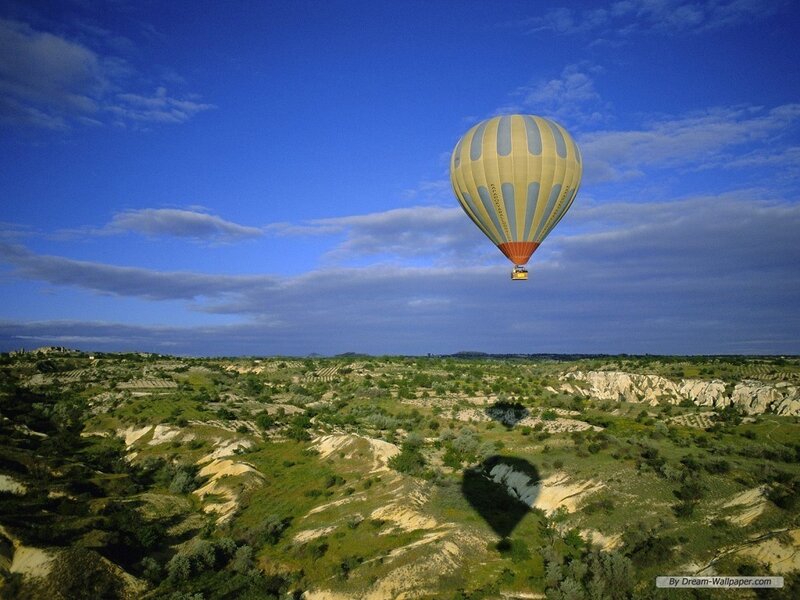 Hot Air Balloon over Landscape