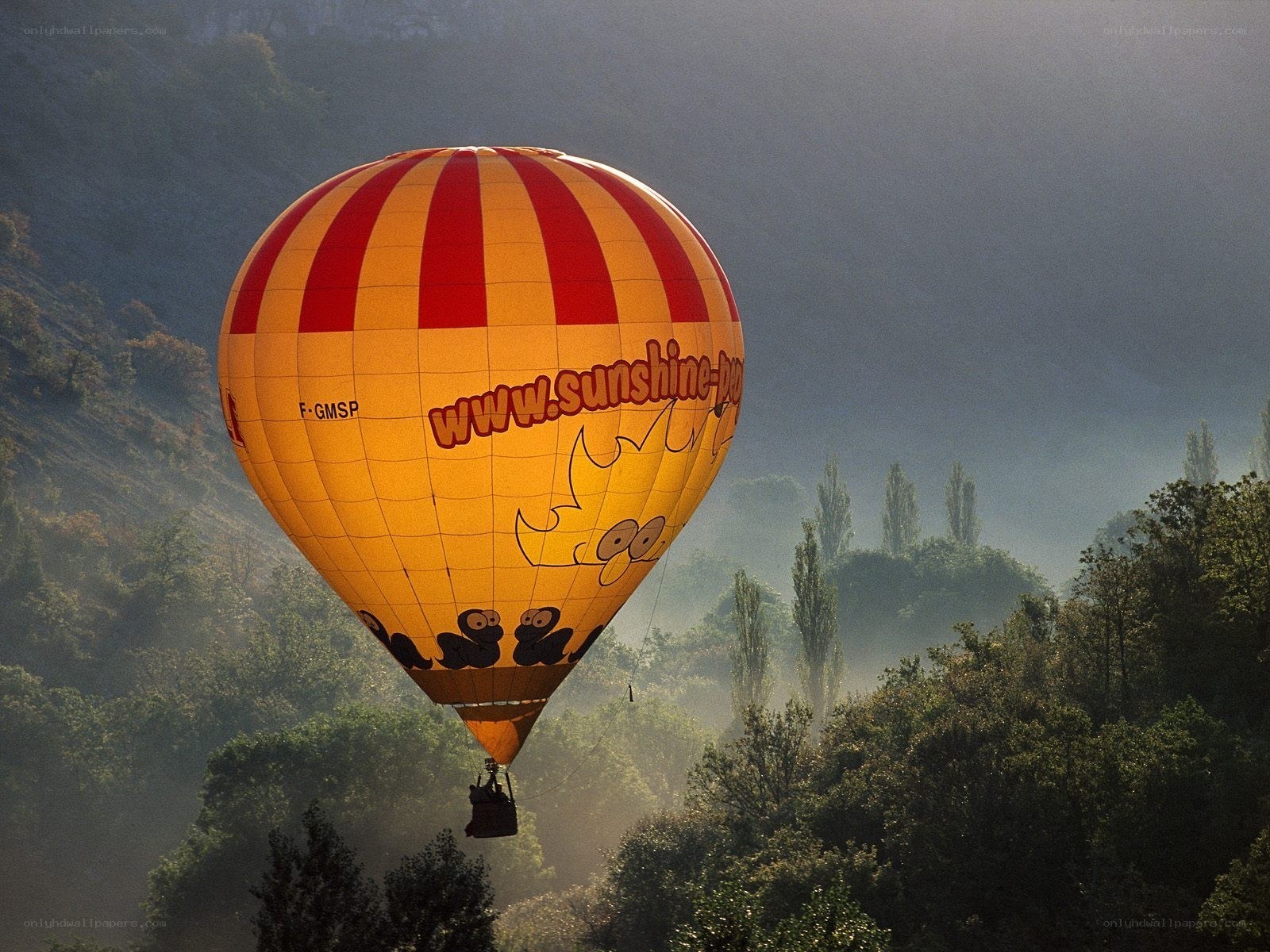 Hot air balloon over misty valley
