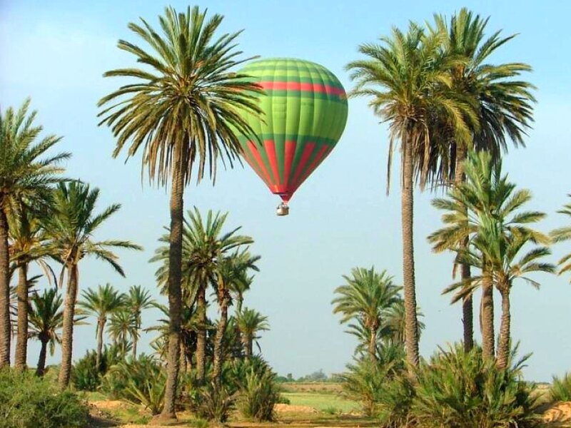 Hot Air Balloon over Palm Trees