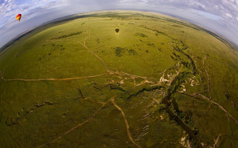 Hot Air Balloon over Savanna — Green
