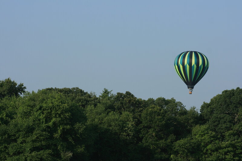 Hot air balloon over trees