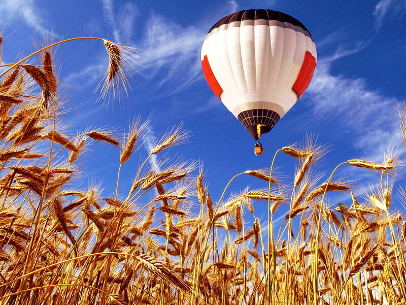 Hot Air Balloon over Wheat