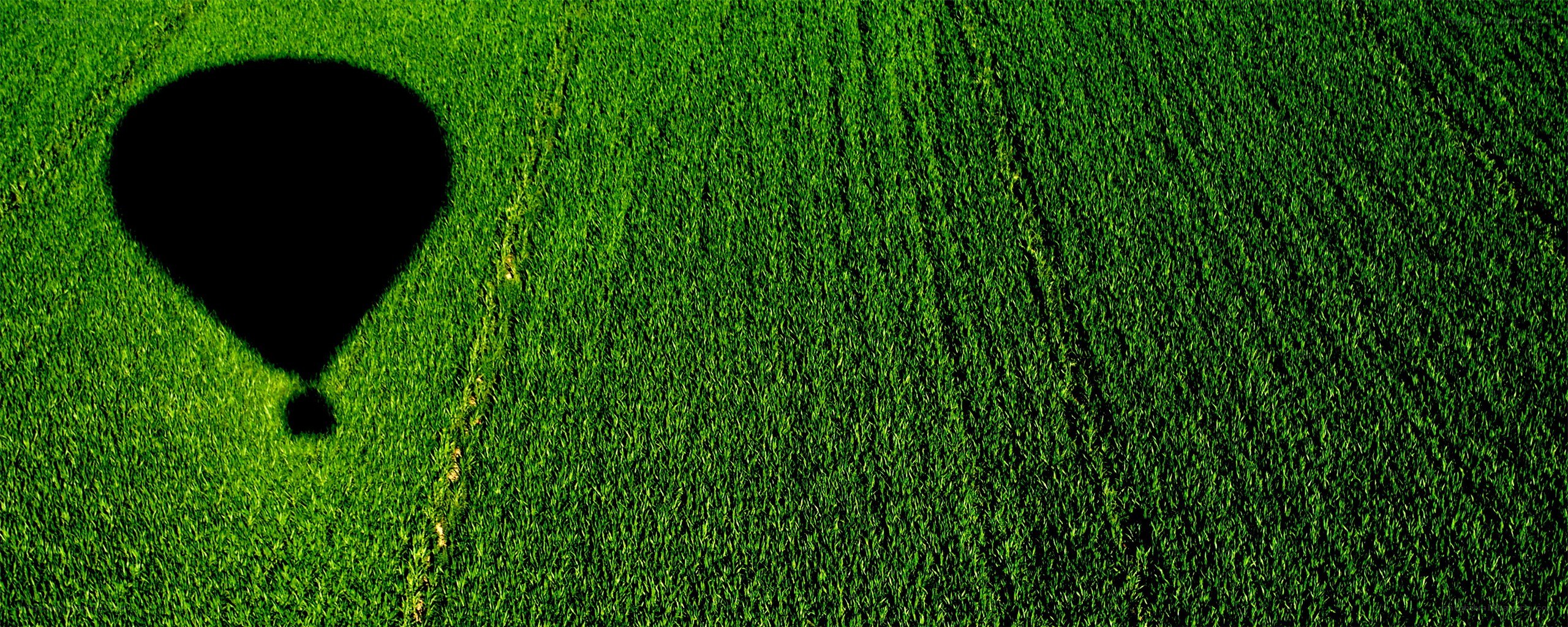 hot air balloon shadow on field