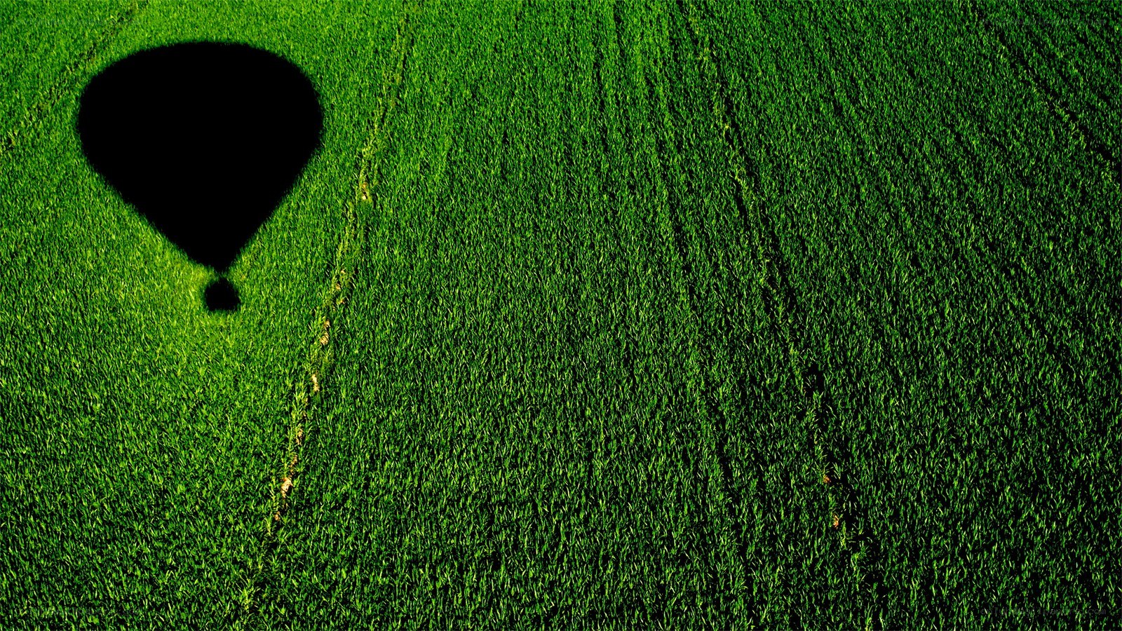 hot air balloon shadow on field