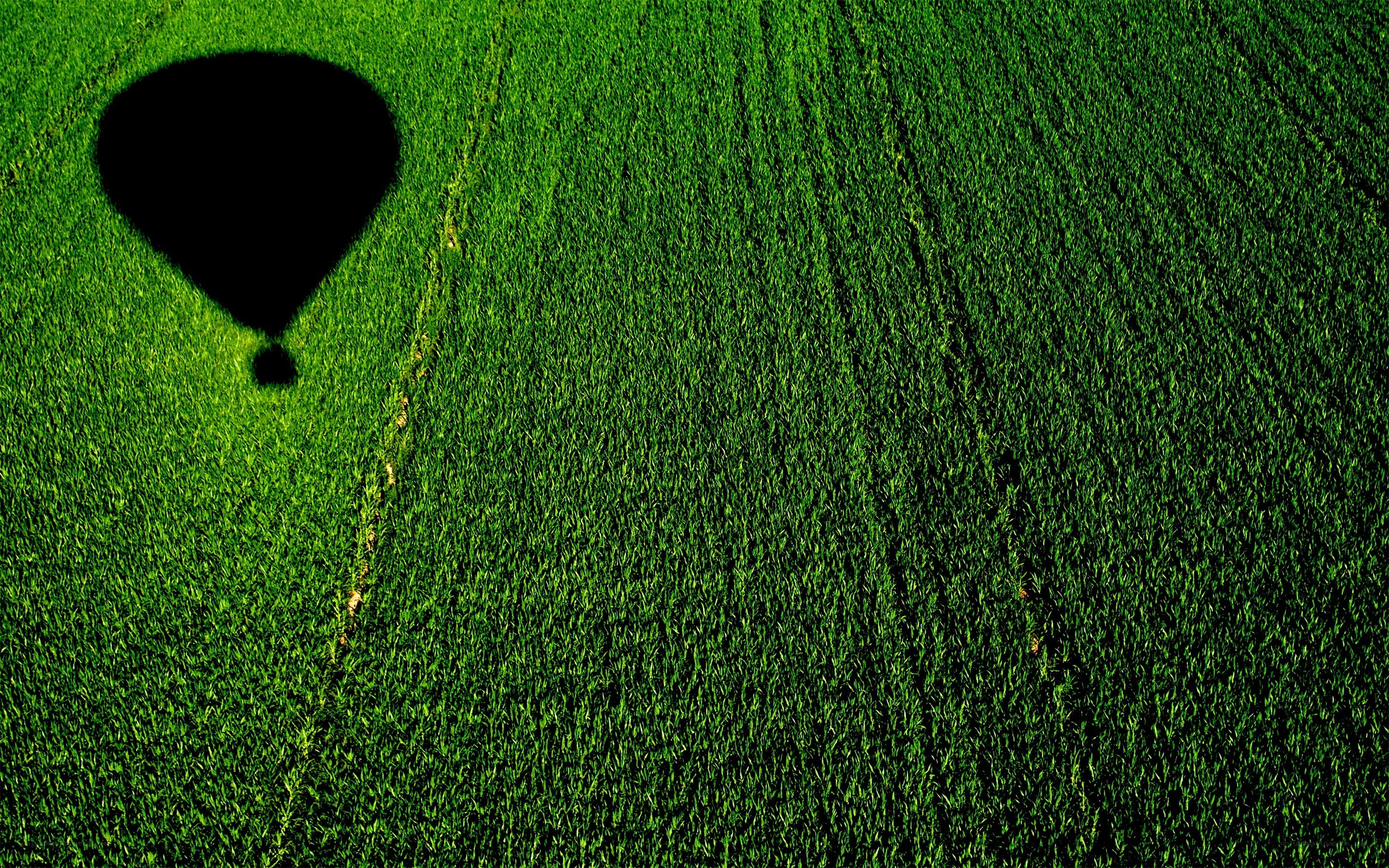 Hot air balloon shadow on field