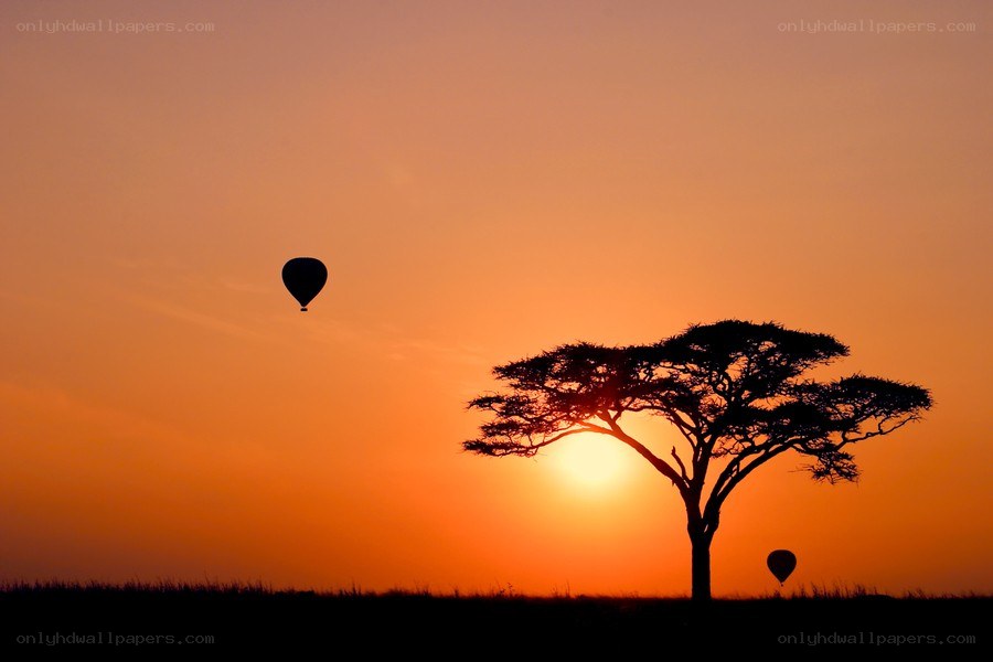 Hot air balloons at sunset