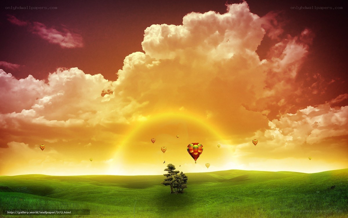 Hot air balloons at sunset