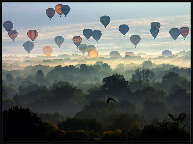 Hot Air Balloons — Blue, Serene