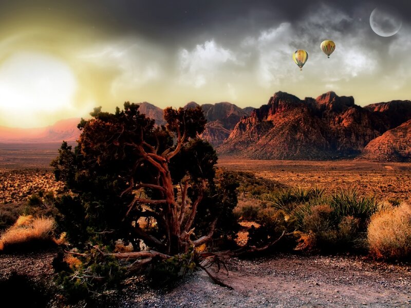 Hot Air Balloons in Desert