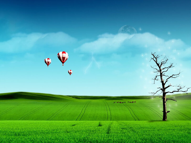 Hot Air Balloons in Field — Green