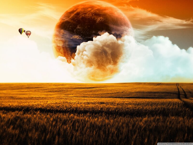 Hot Air Balloons in Field — Orange