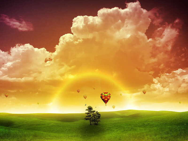 Hot Air Balloons in Field