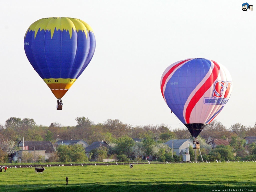 Hot air balloons in flight