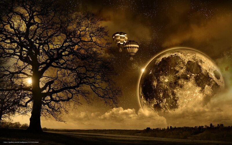 Hot Air Balloons in Night Sky