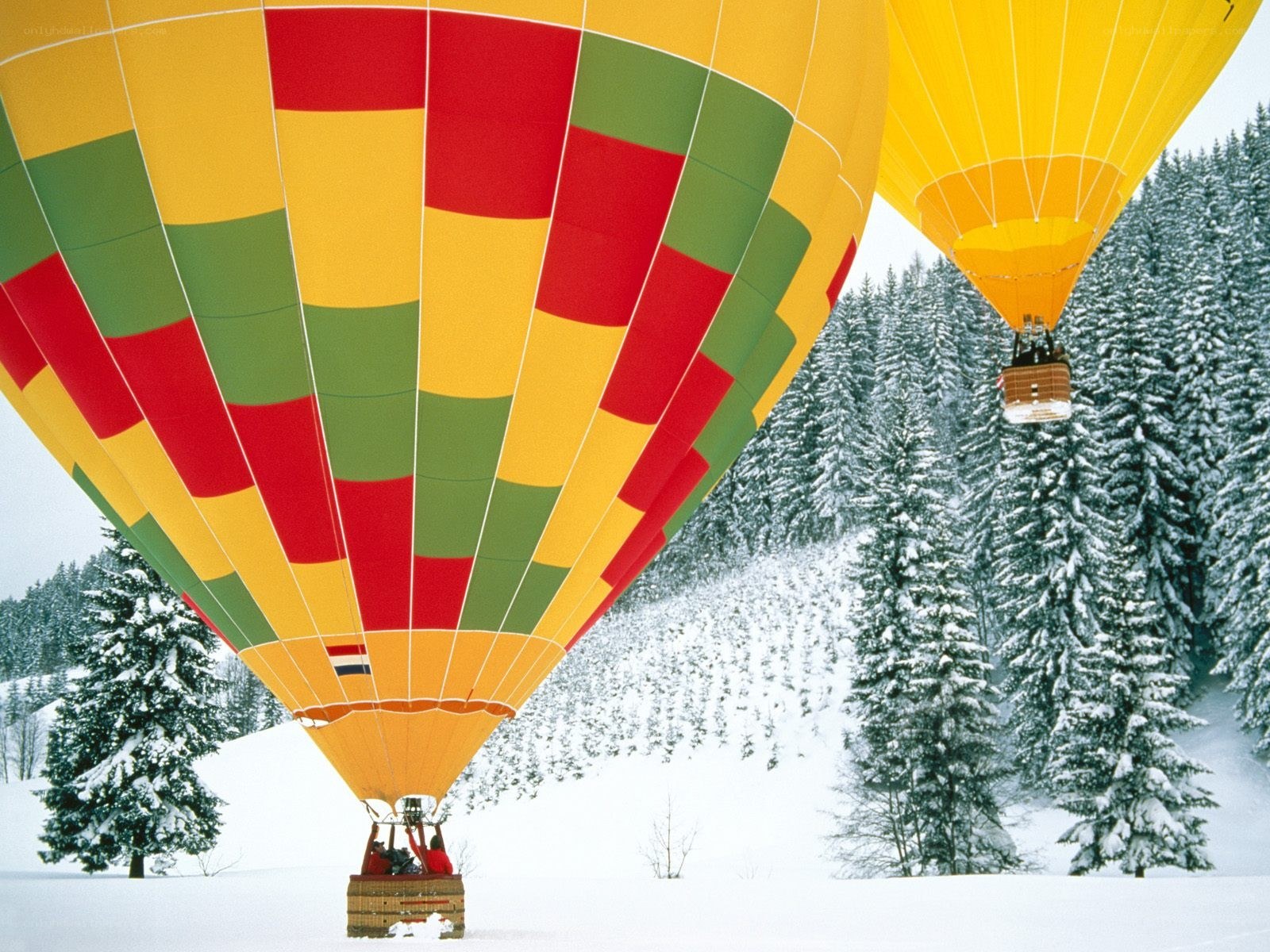 Hot air balloons in snowy forest