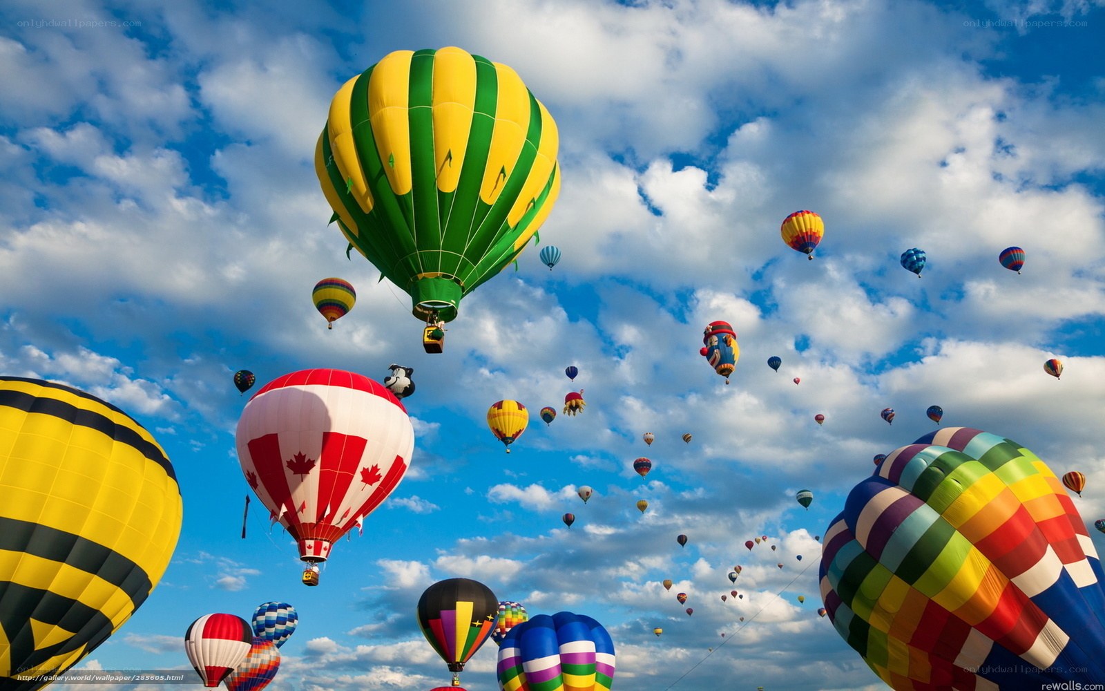 Hot air balloons in the sky
