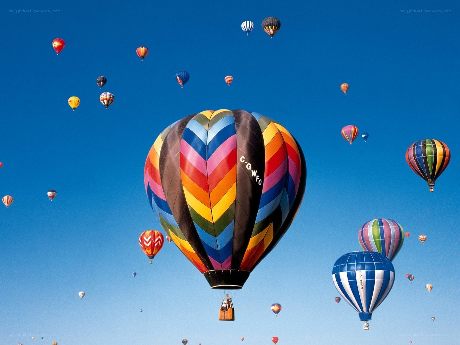 Hot air balloons in the sky