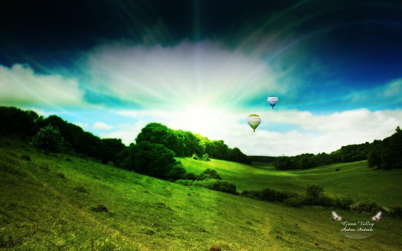 Hot Air Balloons in Valley — Green, Serene, Morning
