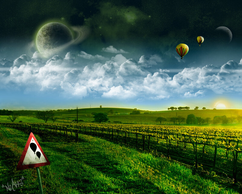 Hot Air Balloons in Vineyard — Green