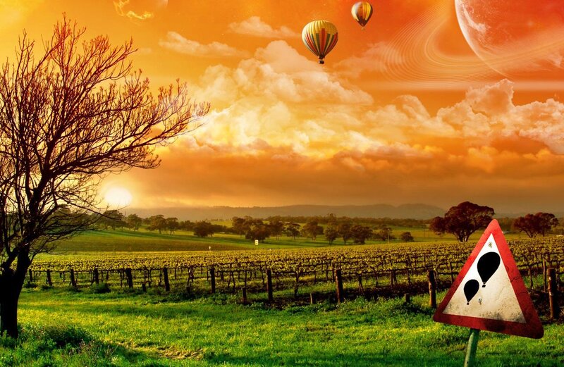 Hot Air Balloons in Vineyard — Orange, Dramatic, Sunset, Digital Art, Tree