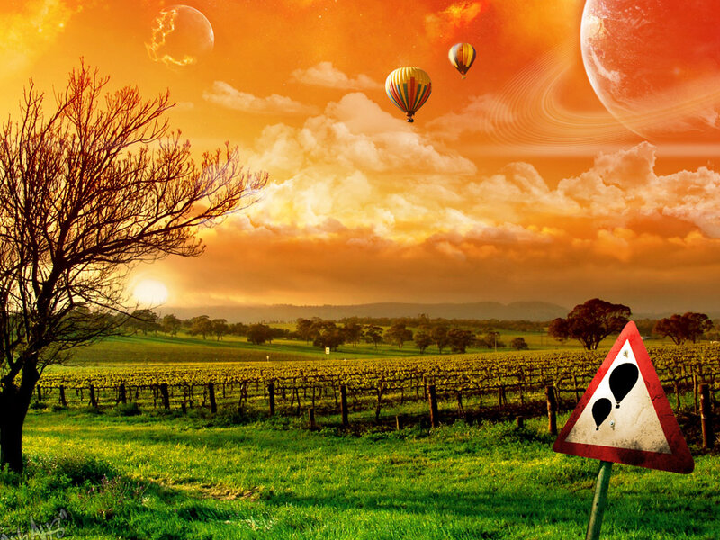 Hot Air Balloons in Vineyard — Orange, Dramatic, Sunset