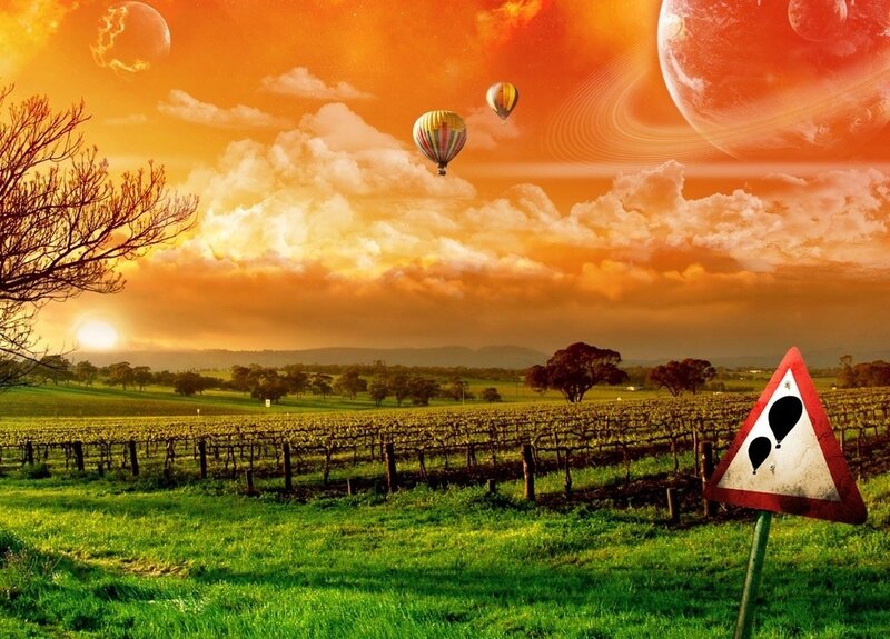 Hot Air Balloons in Vineyard — Orange, Dramatic
