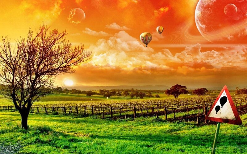 Hot Air Balloons in Vineyard — Orange