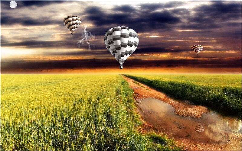 Hot air balloons over a field