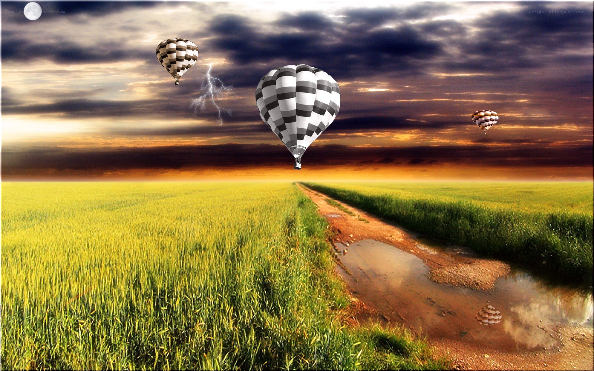Hot air balloons over a field