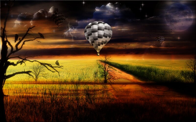 Hot air balloons over a golden field
