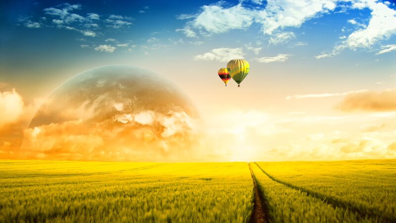 Hot air balloons over a golden field