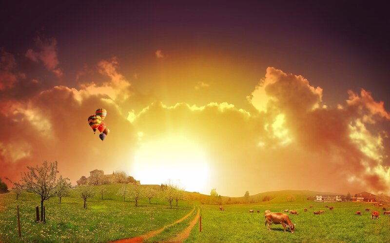 Hot air balloons over a green field