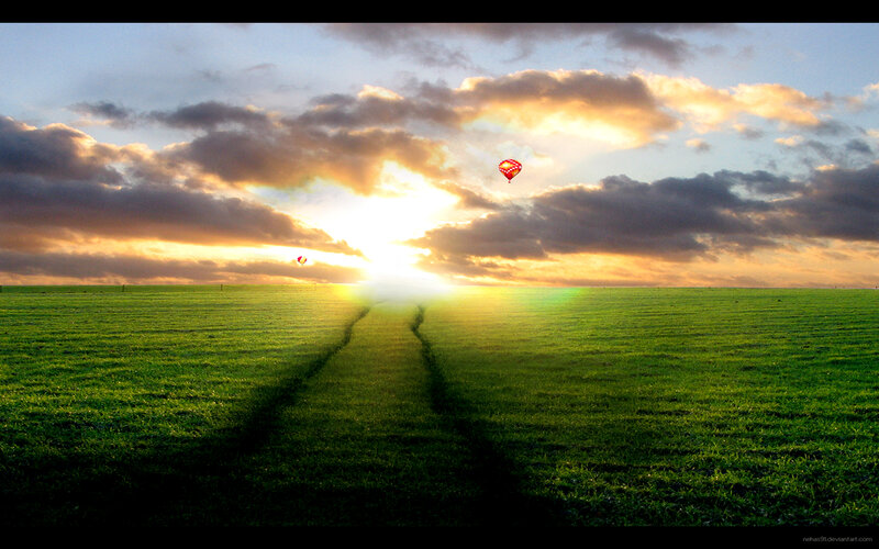 Hot air balloons over a green field