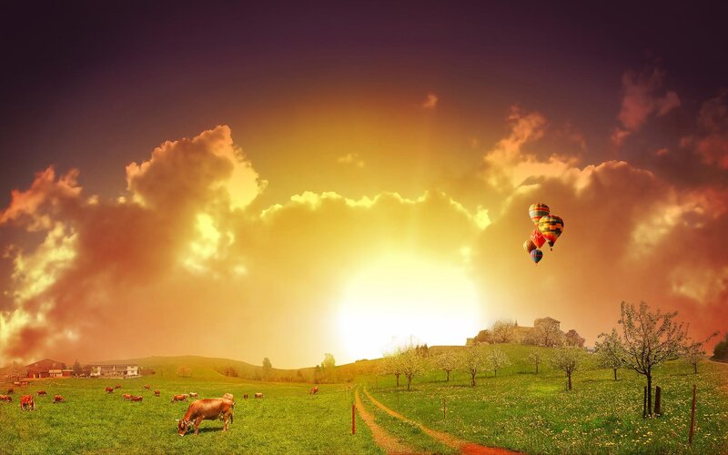Hot air balloons over a green field