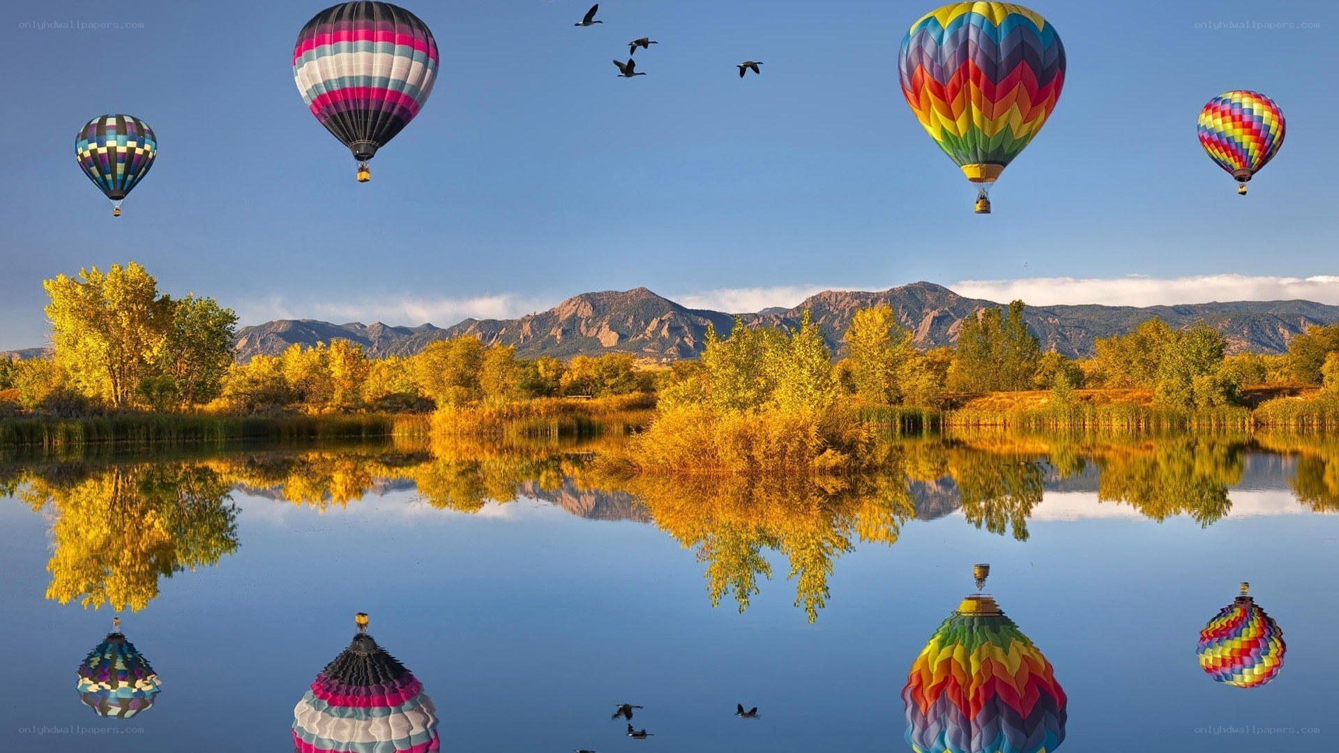 Hot air balloons over a lake