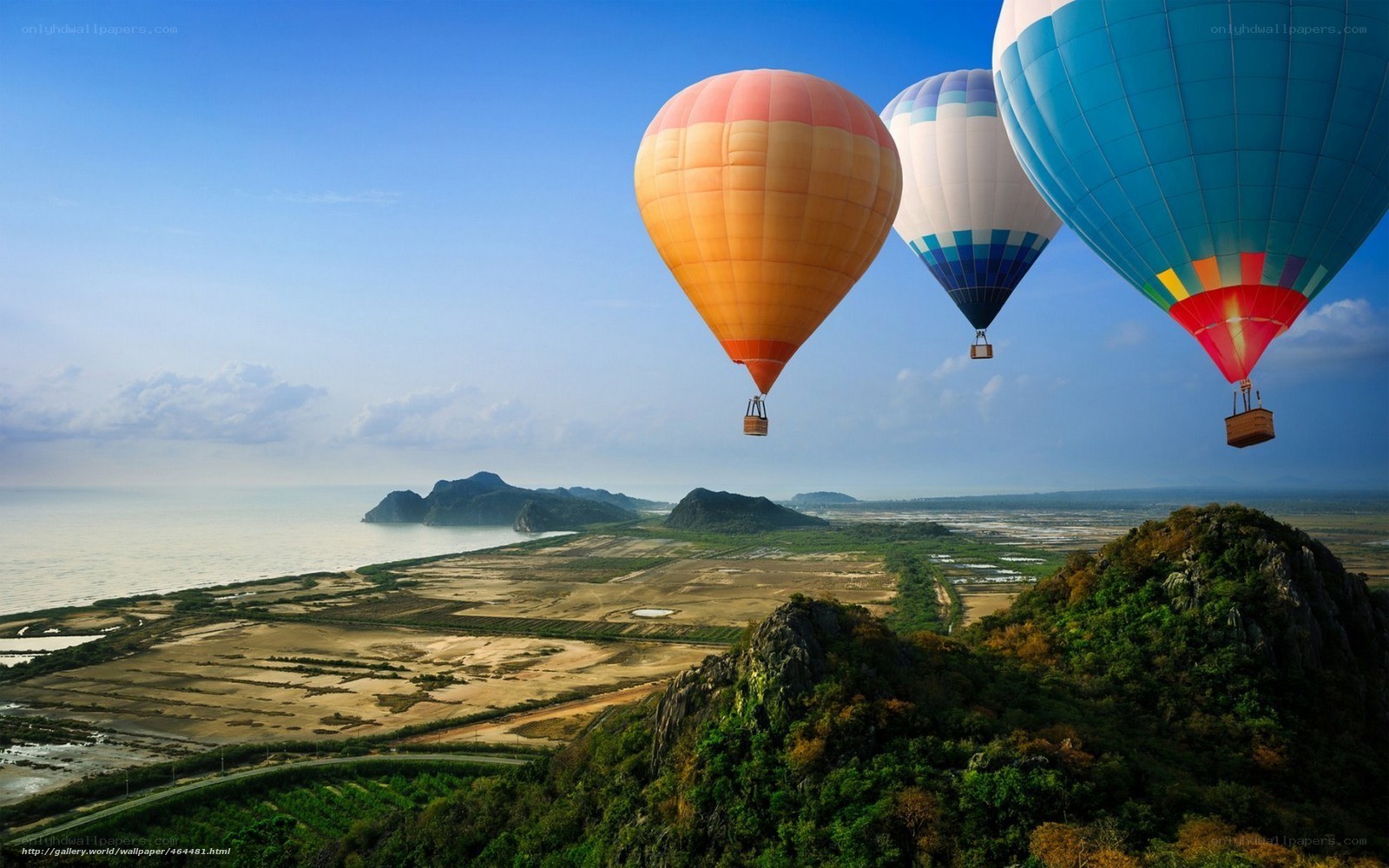 Hot air balloons over coastal landscape