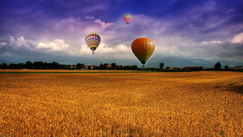 Hot Air Balloons over Field — Gold, Dramatic, Afternoon, Photograph, Mountains