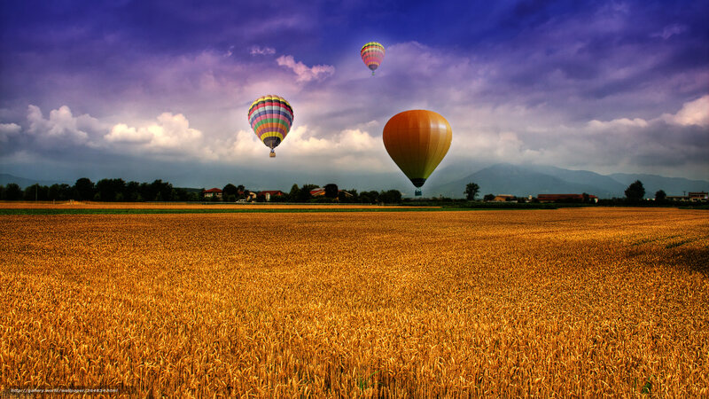 Hot Air Balloons over Field — Gold, Dramatic, Afternoon