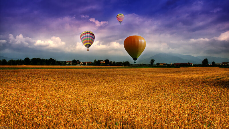 Hot Air Balloons over Field — Gold, Dramatic