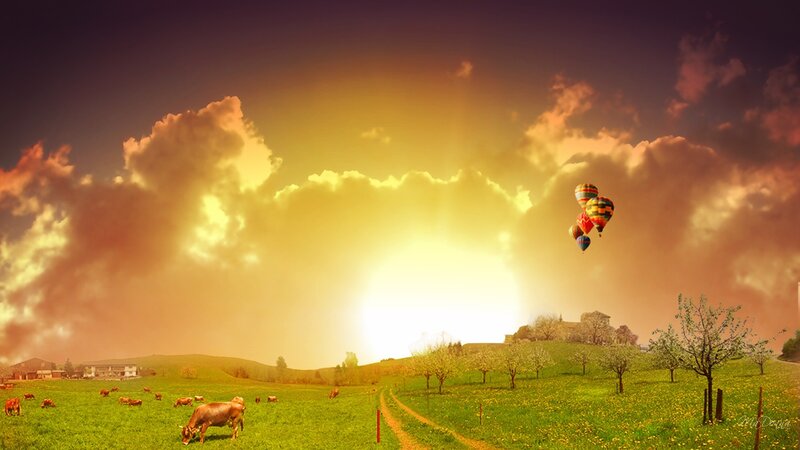 Hot Air Balloons over Field — Green