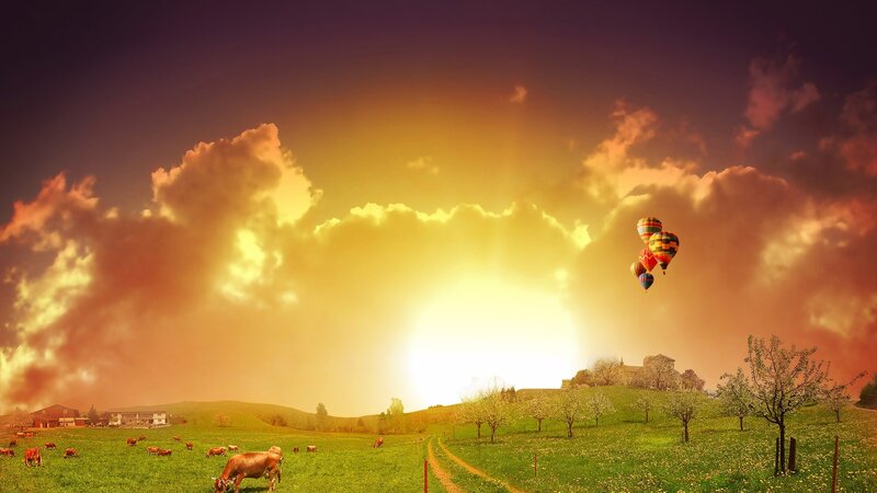 Hot Air Balloons over Field — Yellow, Dramatic