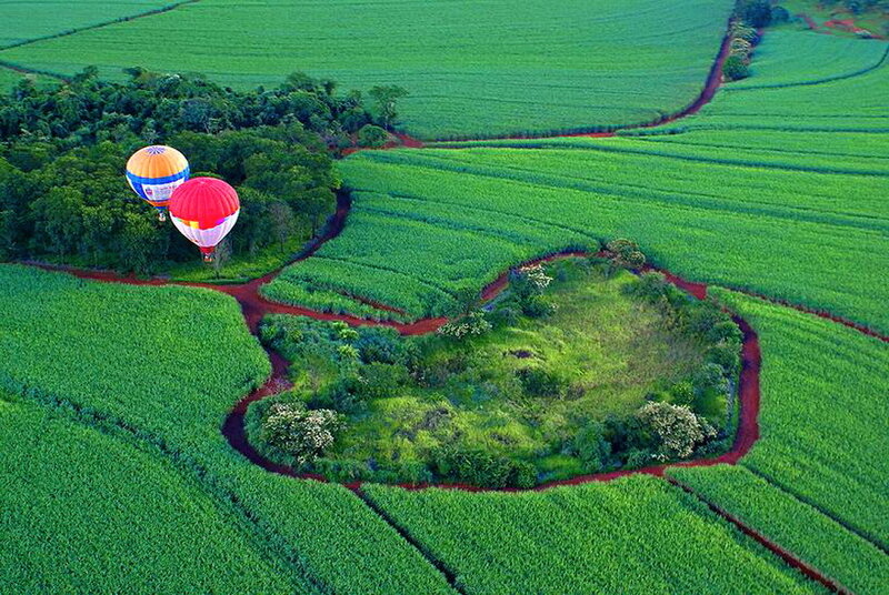 Hot Air Balloons over Fields — Green, Serene
