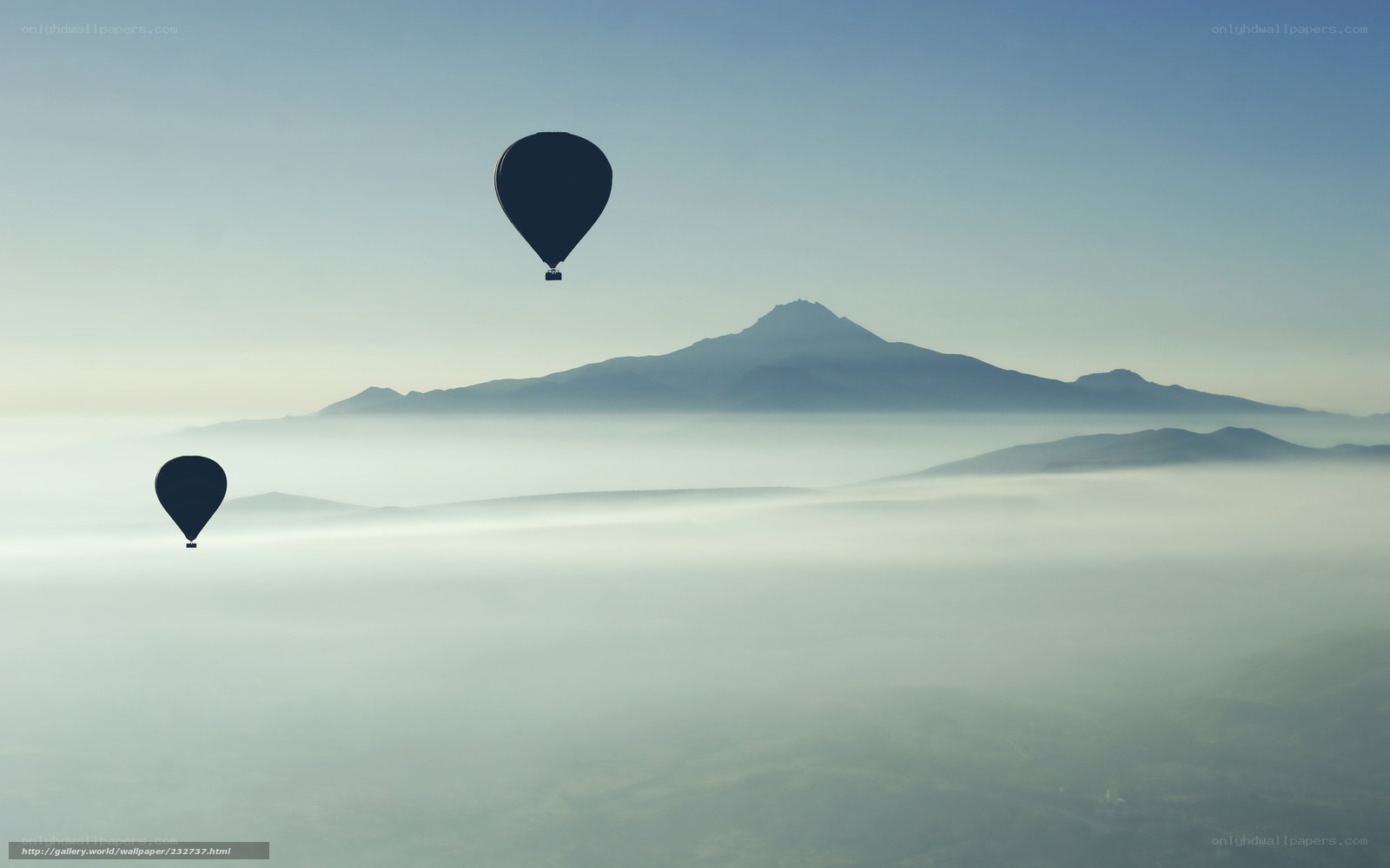 Hot air balloons over fog