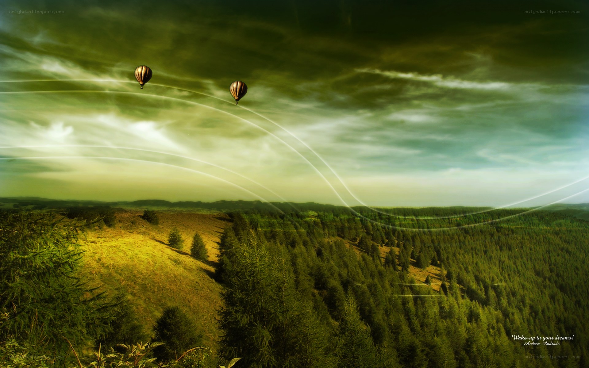 Hot air balloons over forest